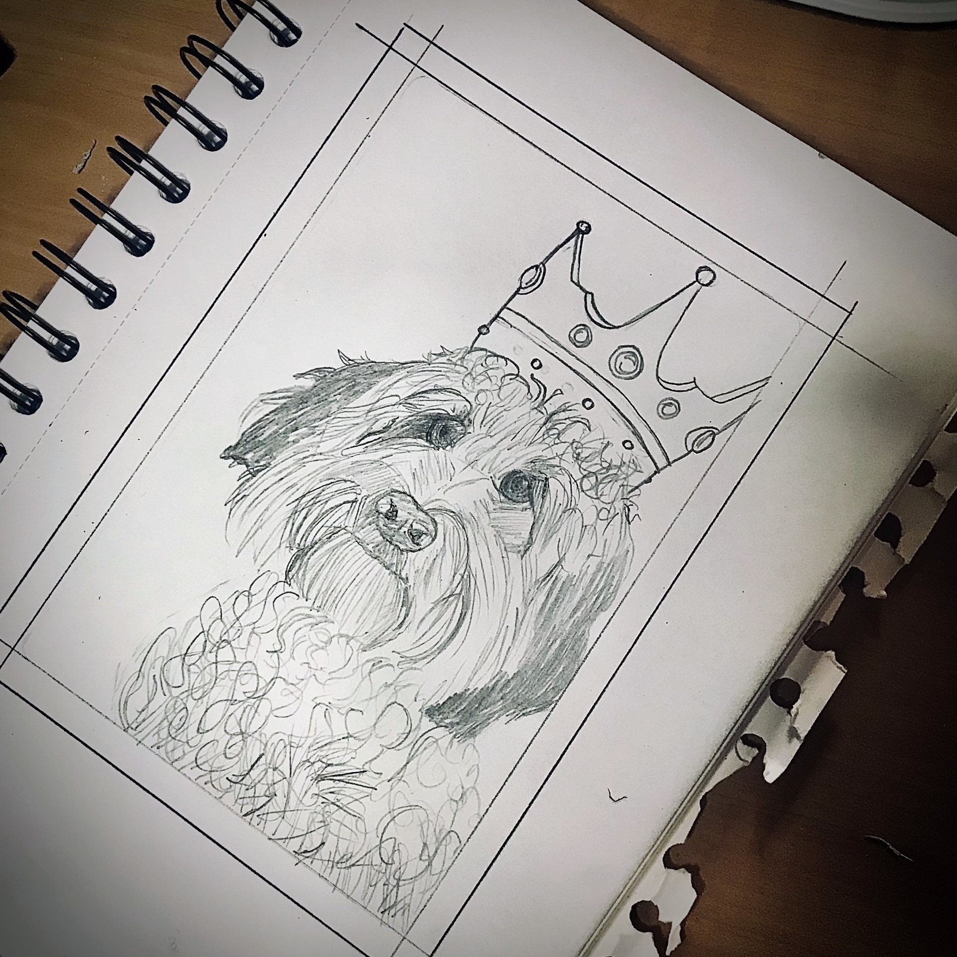 Crowned Companion, pencil portrait by Samantha Oyler