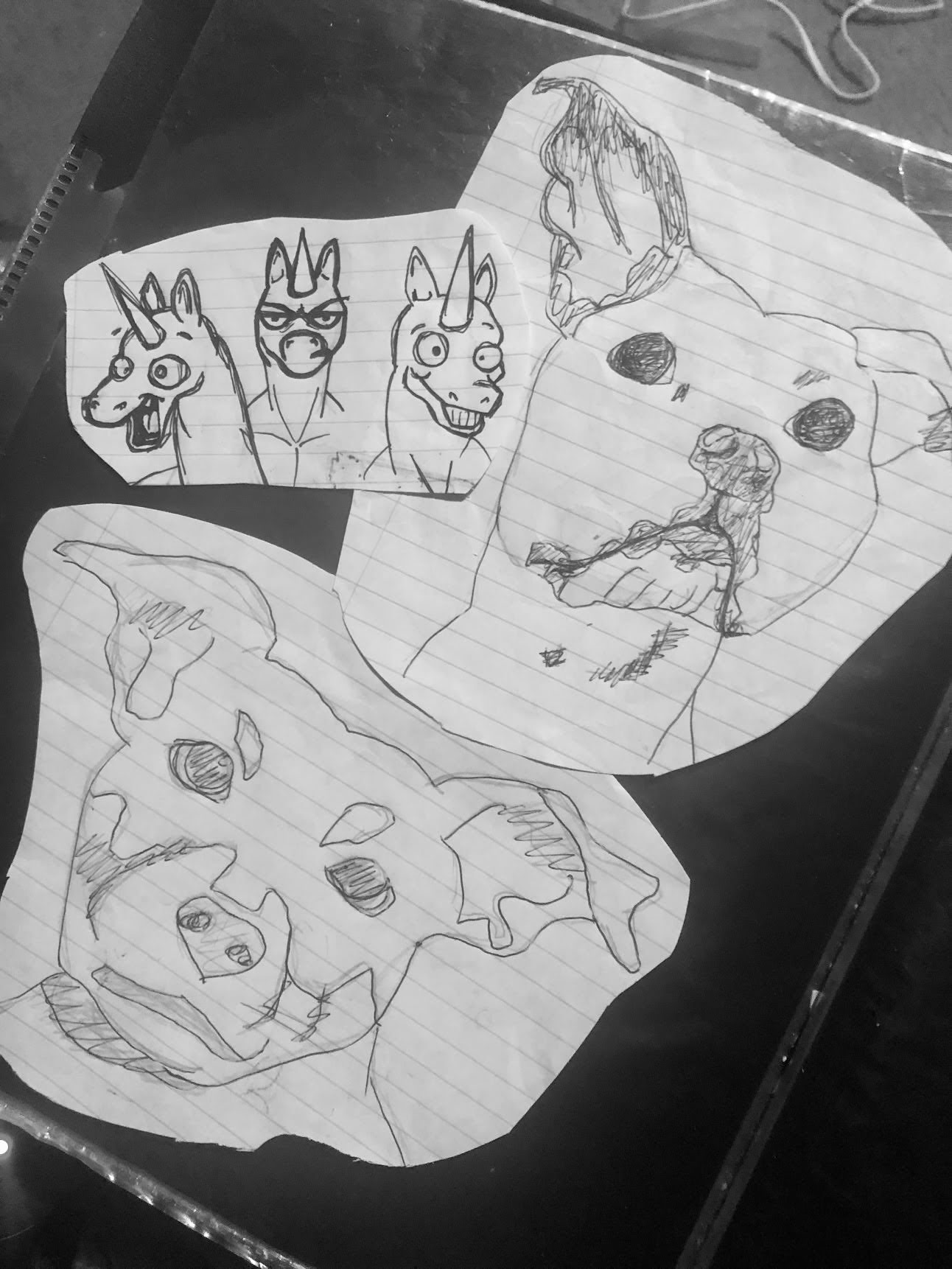 Animal Character Studies, pencil sketches by Samantha Oyler