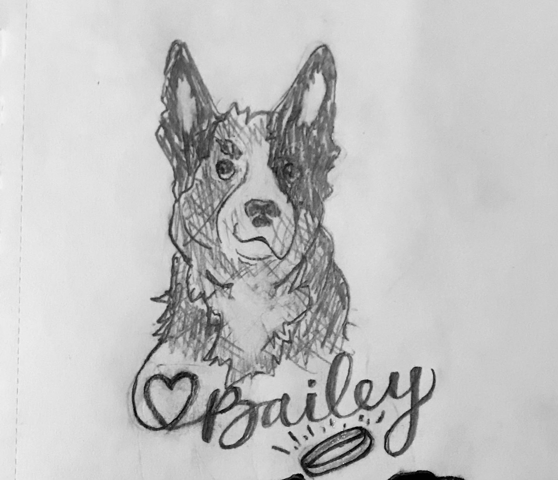 Bailey, pet portrait by Samantha Oyler